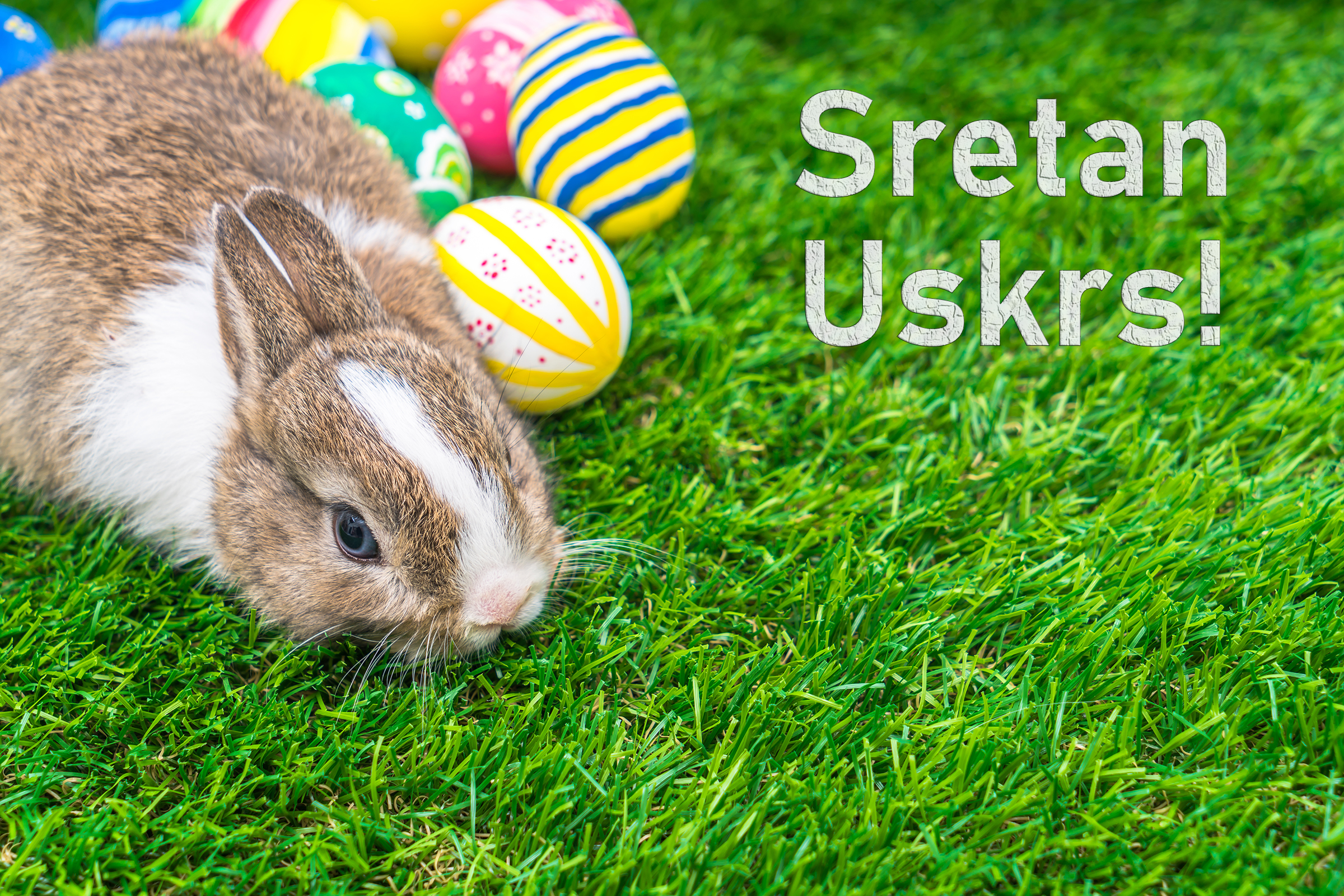 Kakve veze imaju zec i jaja?